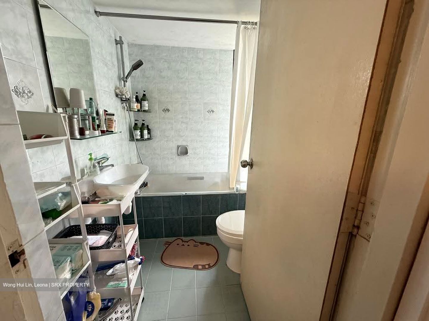 Pandan Valley (D21), Condominium #639545031